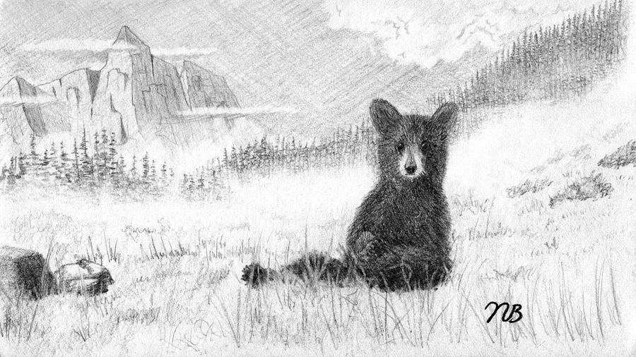 900x506 foggy the bear drawing - Fog Drawing