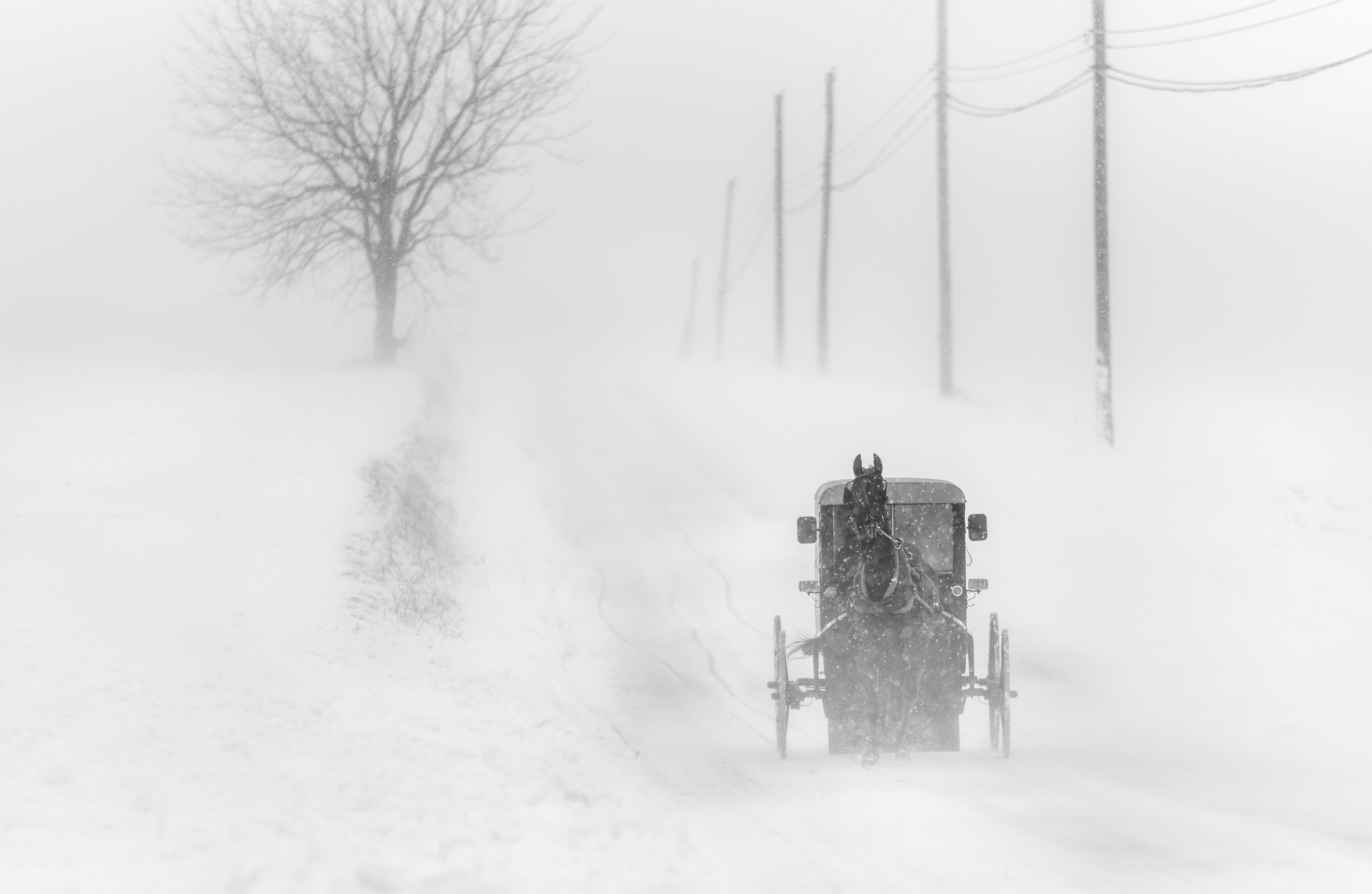 5762x3756 wallpaper landscape, drawing, people, horse, snow, mist - Fog Drawing