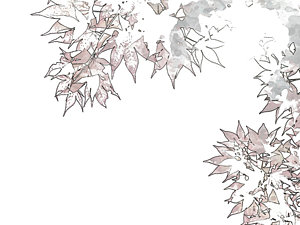 300x225 fall foliage drawings fine art america - Foliage Drawing