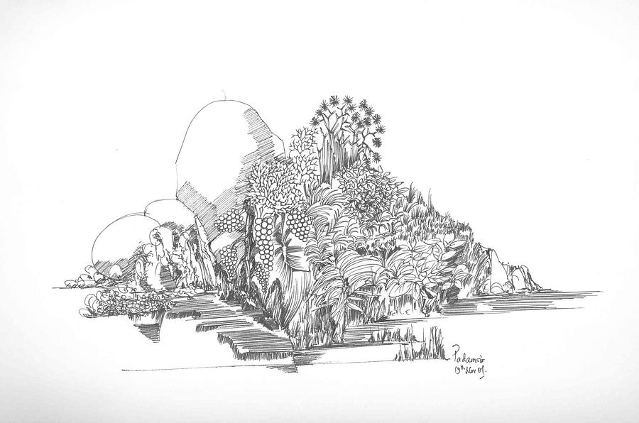 900x596 foliage trees and rocks drawing - Foliage Drawing