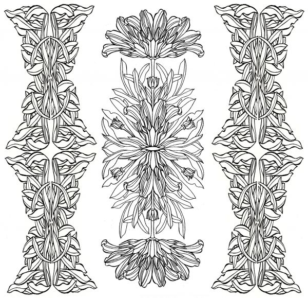 600x579 how to draw a weird foliage - Foliage Drawing