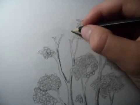 480x360 how to draw foliage - Foliage Drawing