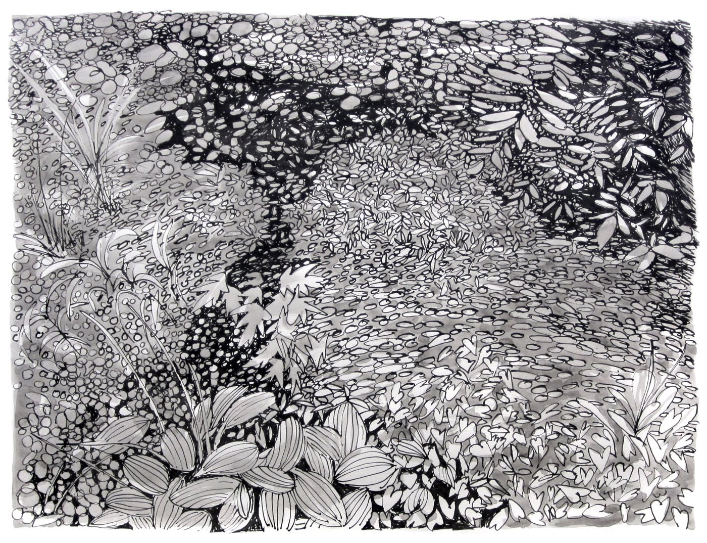 1400x1074 michael mcguire another foliage drawing - Foliage Drawing