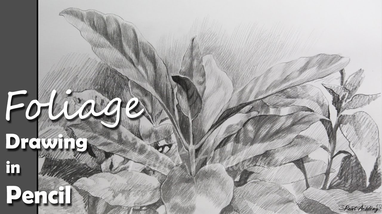 1280x720 pencil drawing techniques foliage drawing speed art - Foliage Drawing
