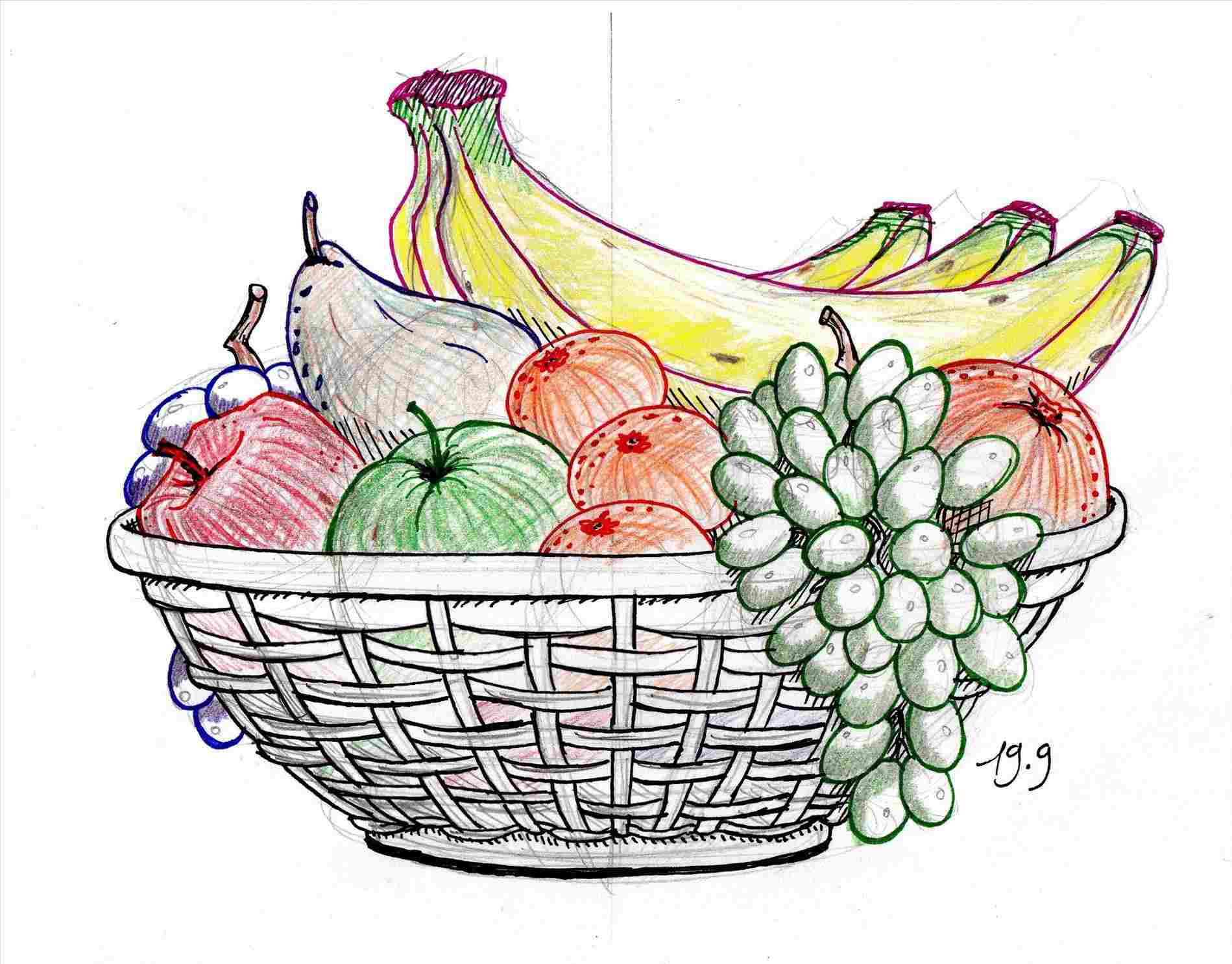 1899x1485 Fruits In Basket Drawing With Shading - Food Basket Drawing