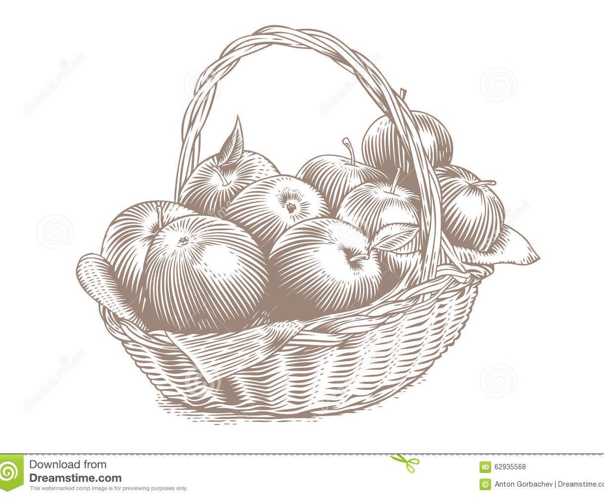 1224x1009 Apple Basket Drawing Of Fruit At Getdrawings Com Free For Personal - Food Basket Drawing