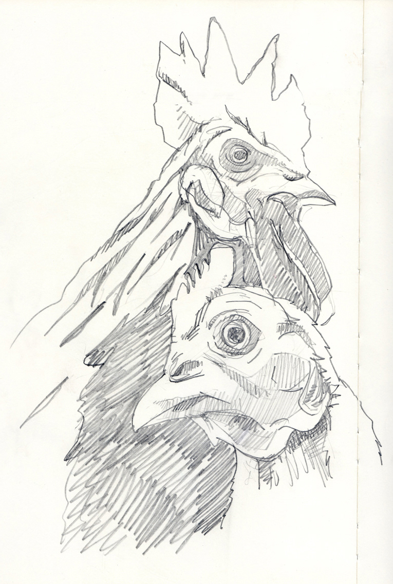 765x1137 Eli Neugeboren - Food Drawings