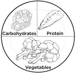 294x281 image result for balanced diet plate model line drawing good - Food Plate Drawing