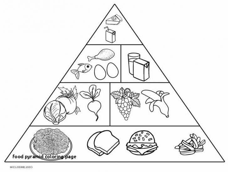 simple food pyramid drawing  my food