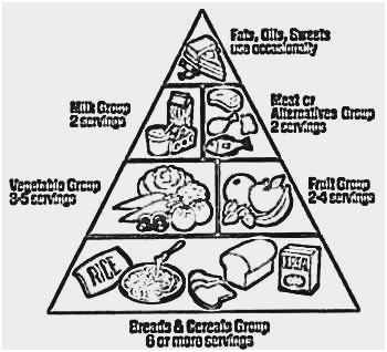 Food Pyramid Drawing at PaintingValley.com | Explore collection of Food ...