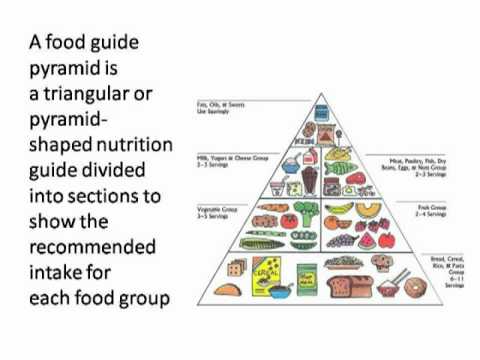 480x360 Tiger - Food Pyramid Drawing