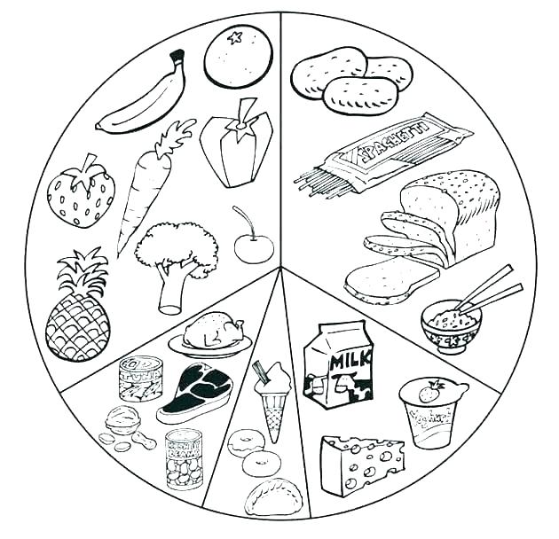 Download Food Web Drawing at PaintingValley.com | Explore ...