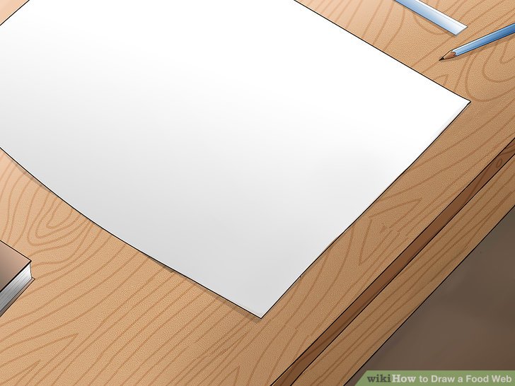 728x546 How To Draw A Food Web Steps - Food Web Drawing