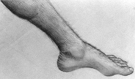 450x262 Life Drawings Of The Foot In Pencil And Charcoal - Foot Drawing