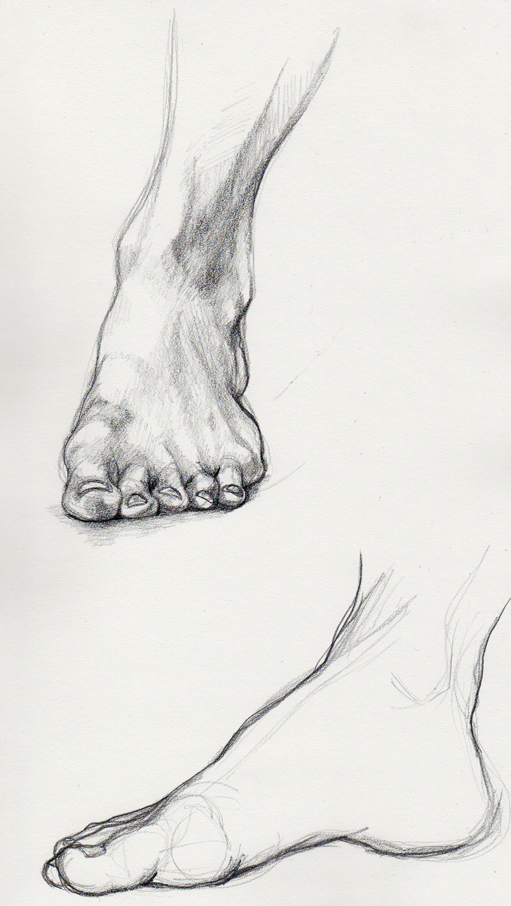 511x906 Drawing Of Feet - Foot Drawing
