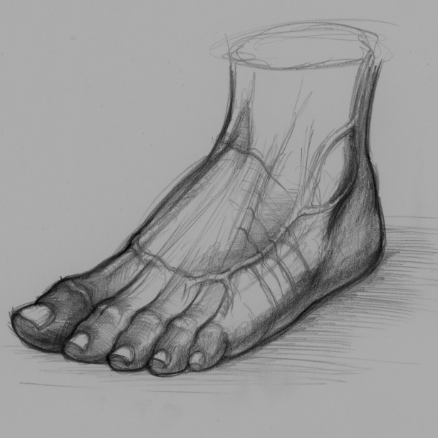 615x615 Drawing Foot Free Stock Photo - Foot Drawing