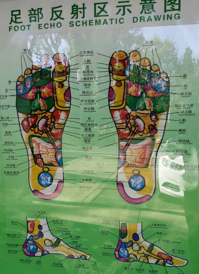 697x960 foot echo schematic - Foot Echo Schematic Drawing