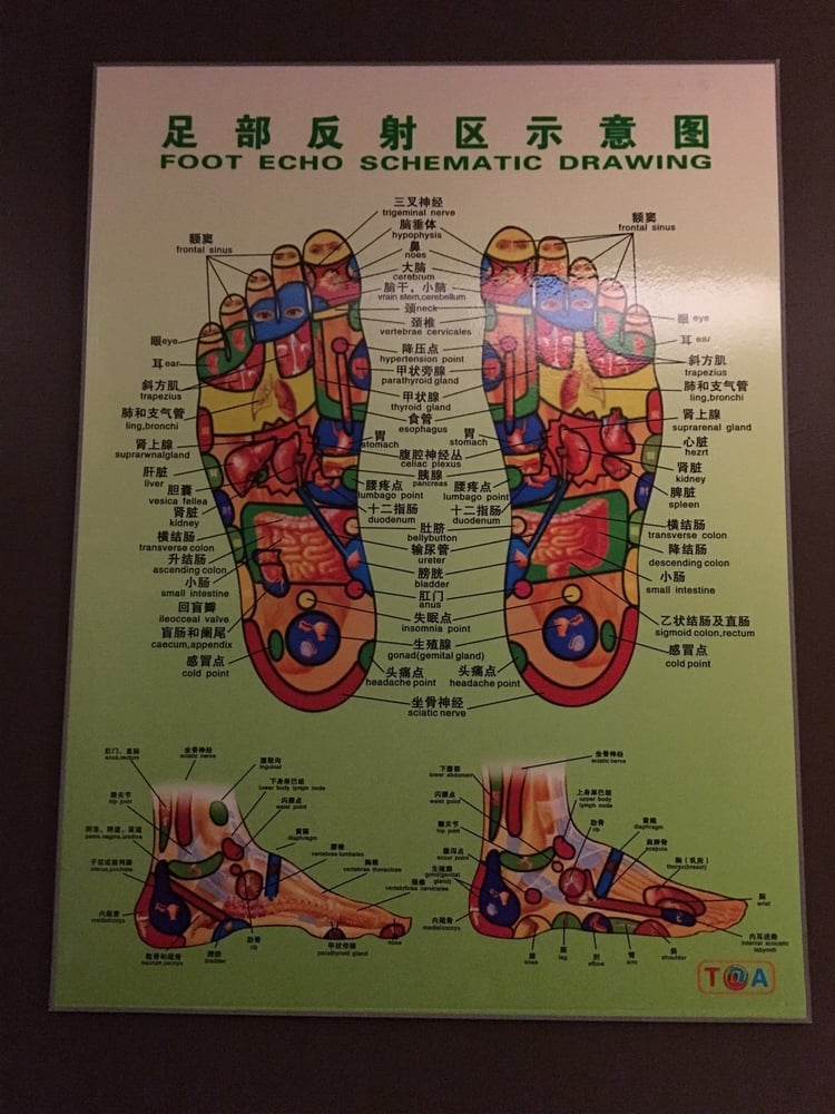 Foot Echo Schematic Drawing at Explore collection