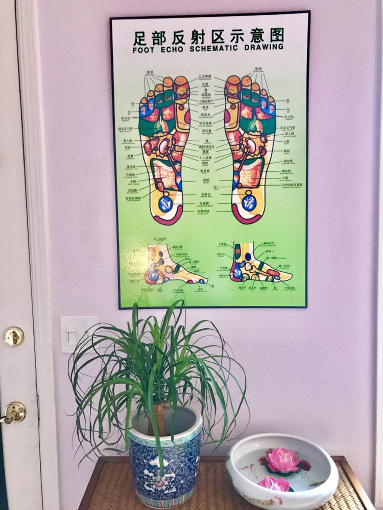 Foot Echo Schematic Drawing In English