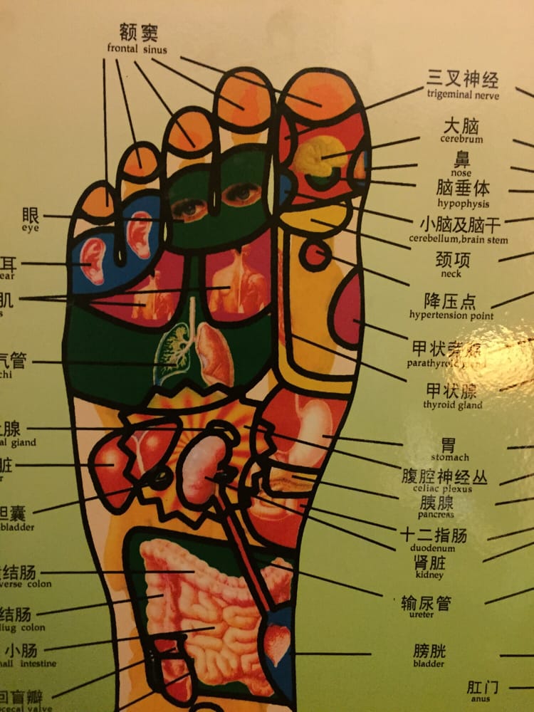 750x1000 foot echo schematic drawing looks interesting - Foot Echo Schematic Drawing