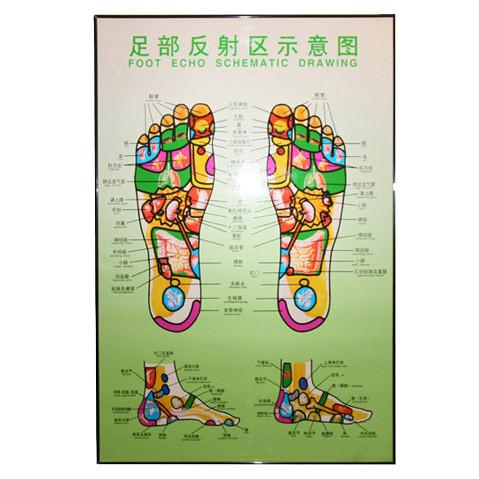479x479 g foot chart foot massage poster acubest - Foot Echo Schematic Drawing