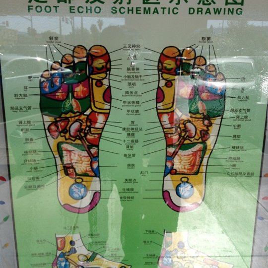 Foot Echo Schematic Drawing at PaintingValley.com | Explore collection ...