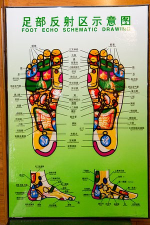 300x450 poster - Foot Echo Schematic Drawing