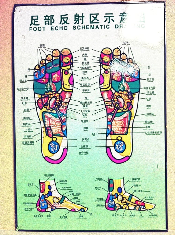 747x1000 poster of chinese foot echo schematic drawing - Foot Echo Schematic Drawing