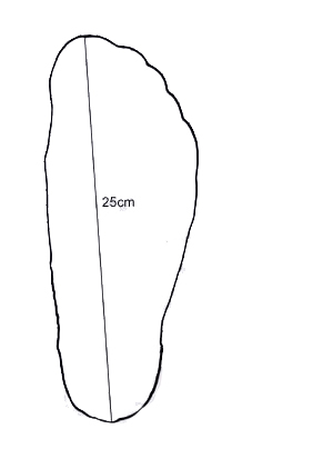 300x413 Foot Tracing Kt Rince - Foot Line Drawing