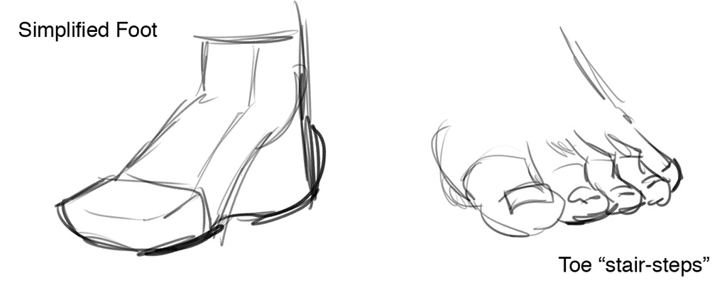 1024x409 How To Draw Comics Character Design Drawing The Figure Dirk I - Foot Line Drawing