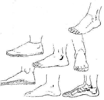 400x388 Wetcanvas Artsschool Online Portraits - Foot Line Drawing