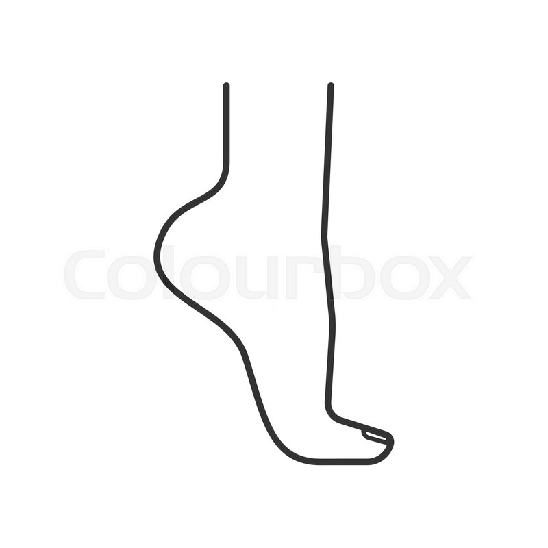 800x800 Woman's Foot Standing On Tiptoe Linear Stock Vector Colourbox - Foot Line Drawing