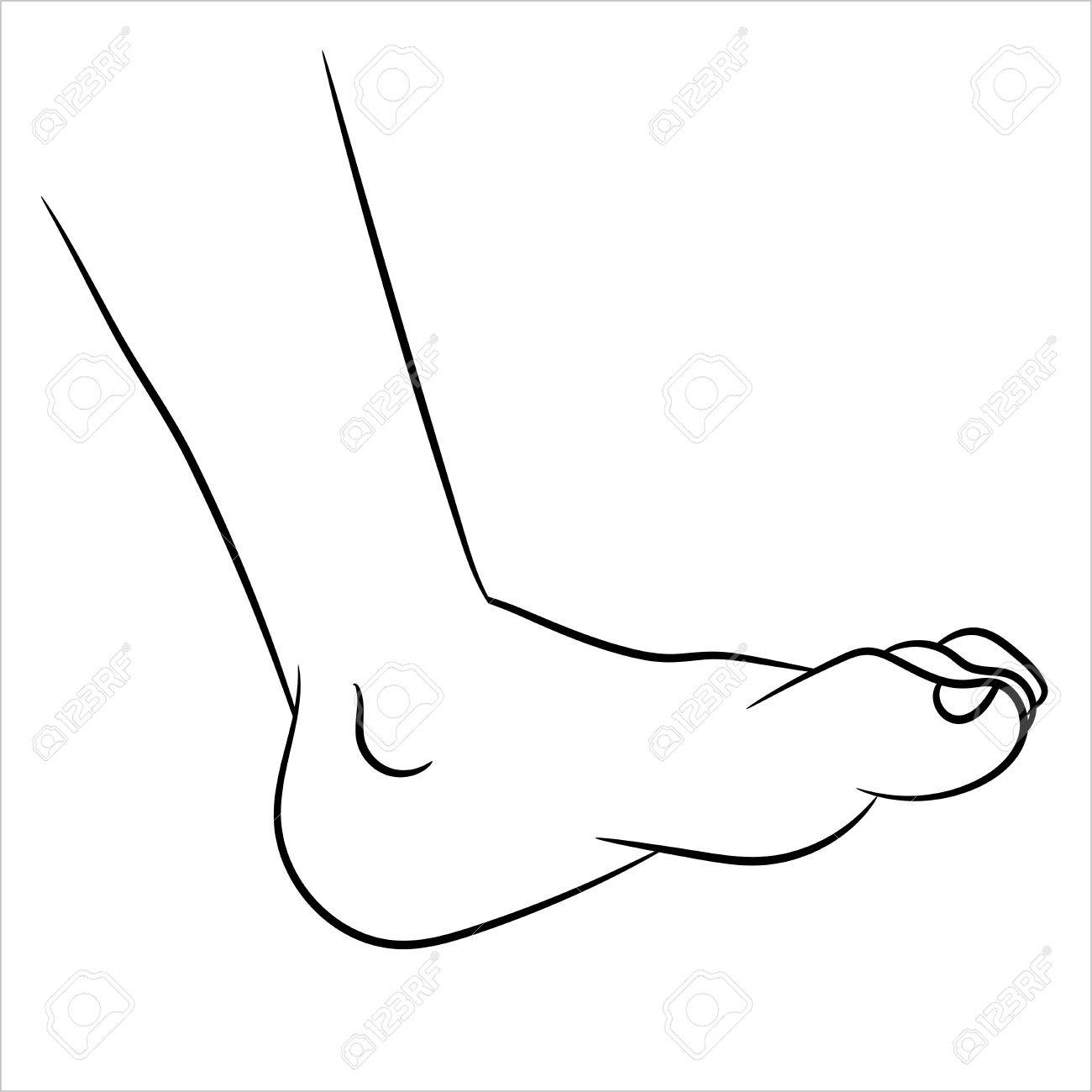 1300x1300 Huge Collection Of 'cartoon Foot Drawing' Download More Than - Foot Outline Drawing