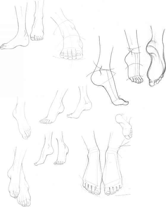 559x697 The Foot And Ankle Outline Art Art Sketches, Feet Drawing - Foot Outline Drawing