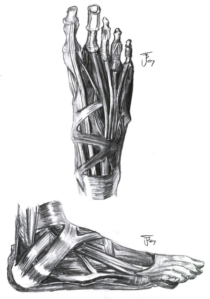 718x1024 How To Draw Feet Step - Foot Skeleton Drawing