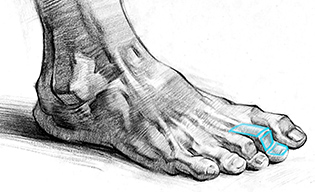 315x192 How To Draw Feet With Structure - Foot Skeleton Drawing