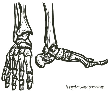 450x380 Skeleton Feet - Foot Skeleton Drawing