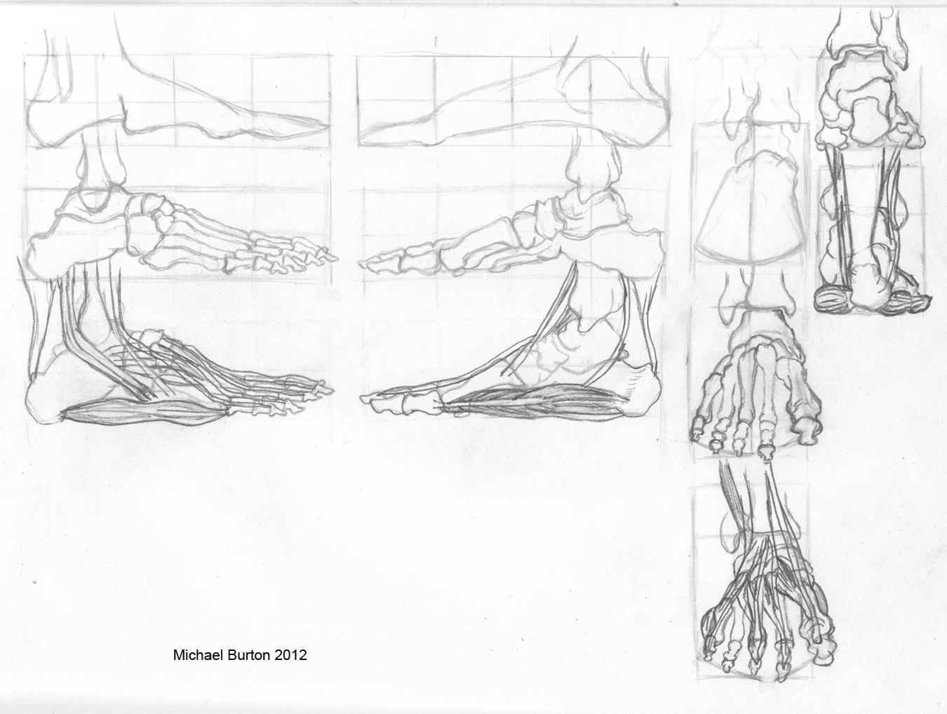 1350x1018 Drawing The Human Foot Urbanrockwell's Blog - Foot Skeleton Drawing