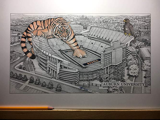 667x500 Auburn Football Stadium With Hand Colored Tiger - Football Stadium Drawing