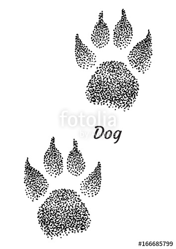 354x500 dog footprint illustration, drawing, engraving, ink, line art - Footprint Line Drawing