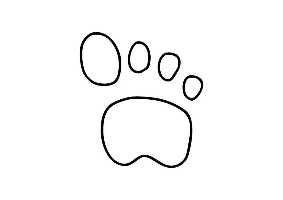 900x636 footprint dog cat animal drawing - Footprint Line Drawing