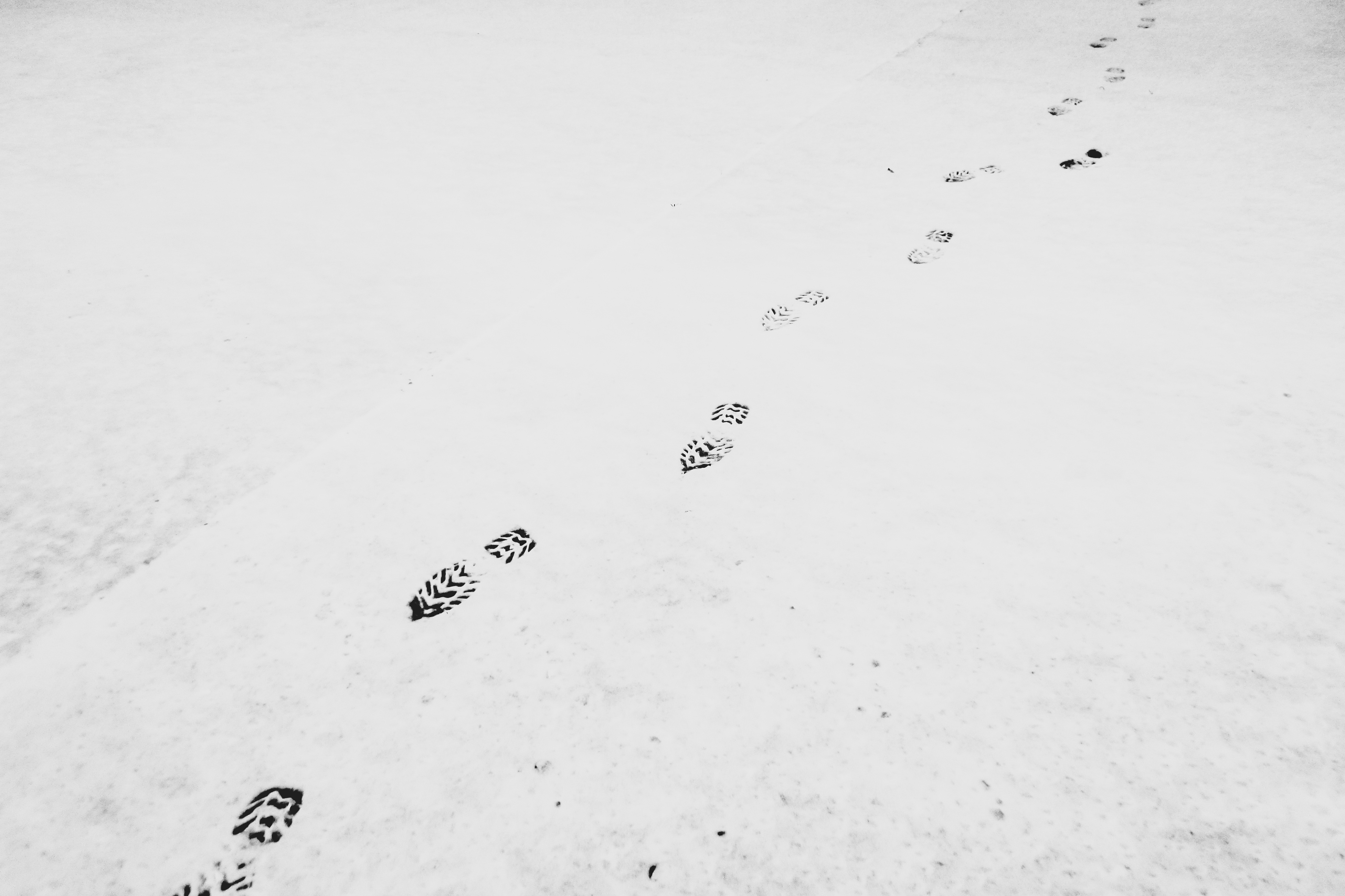 3908x2603 free images sand, snow, winter, black and white, footprint, line - Footprint Line Drawing