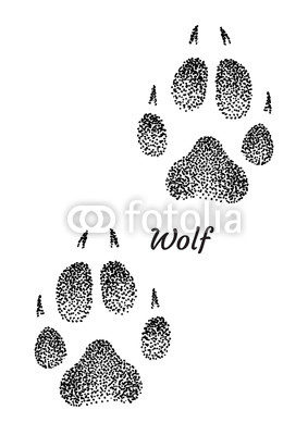 283x400 wolf footprint illustration, drawing, engraving, ink, line art - Footprint Line Drawing