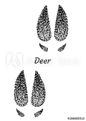 354x500 deer footprint illustration, drawing, engraving, ink, line art - Footprint Line Drawing