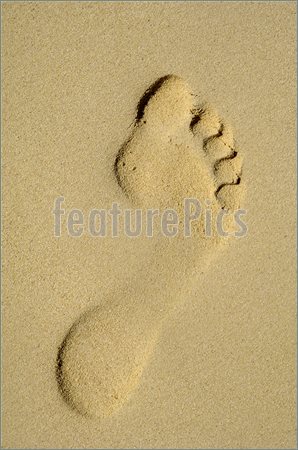 298x450 Footprint In Sand On Beach Stock Picture - Footprints In The Sand Drawing