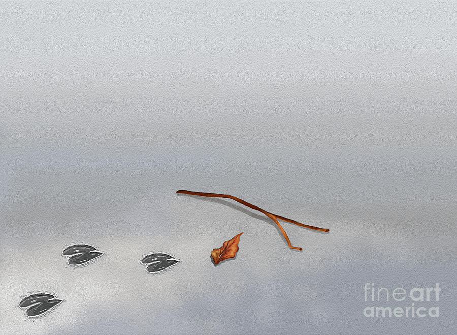 900x659 animal footprint with twigs and leaf on sand with copyspace - Footprints In The Sand Drawing