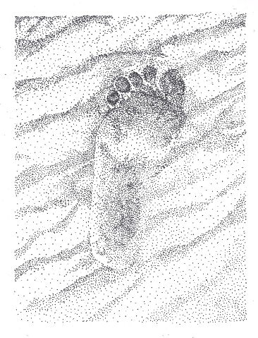 366x479 day sixteen footprint drawing thing a day forever - Footprints In The Sand Drawing