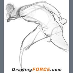 Force Drawing
