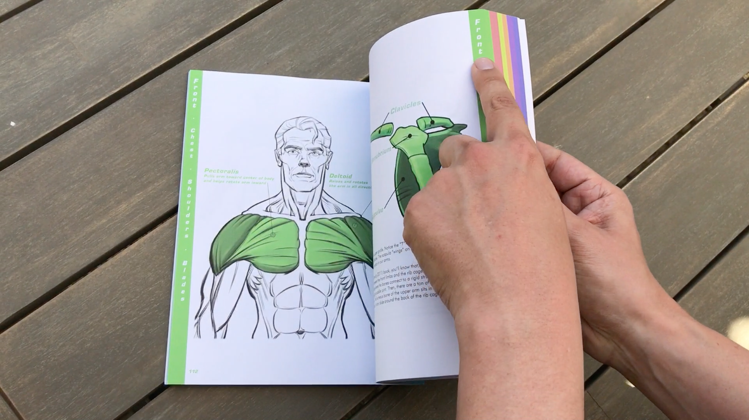 1486x834 Dynamic Drawing Books With Force - Force Drawing