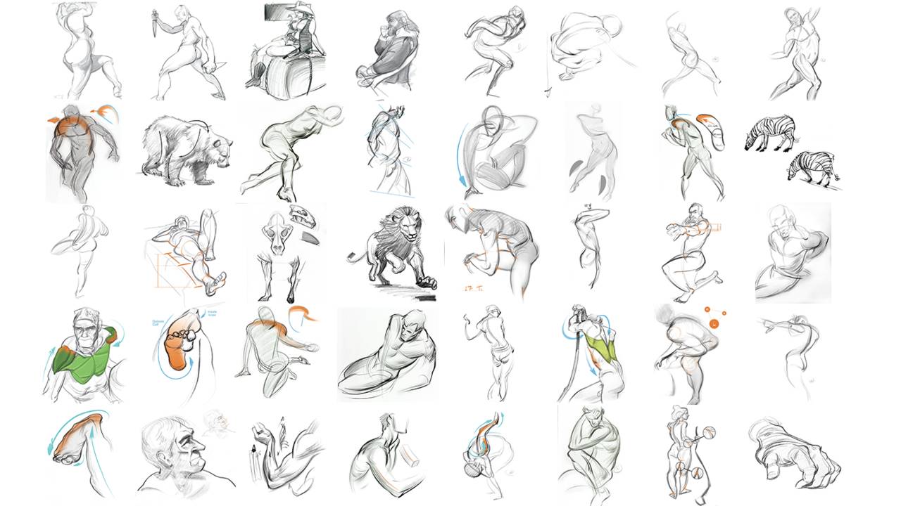 1280x720 Force Drawing - Force Drawing